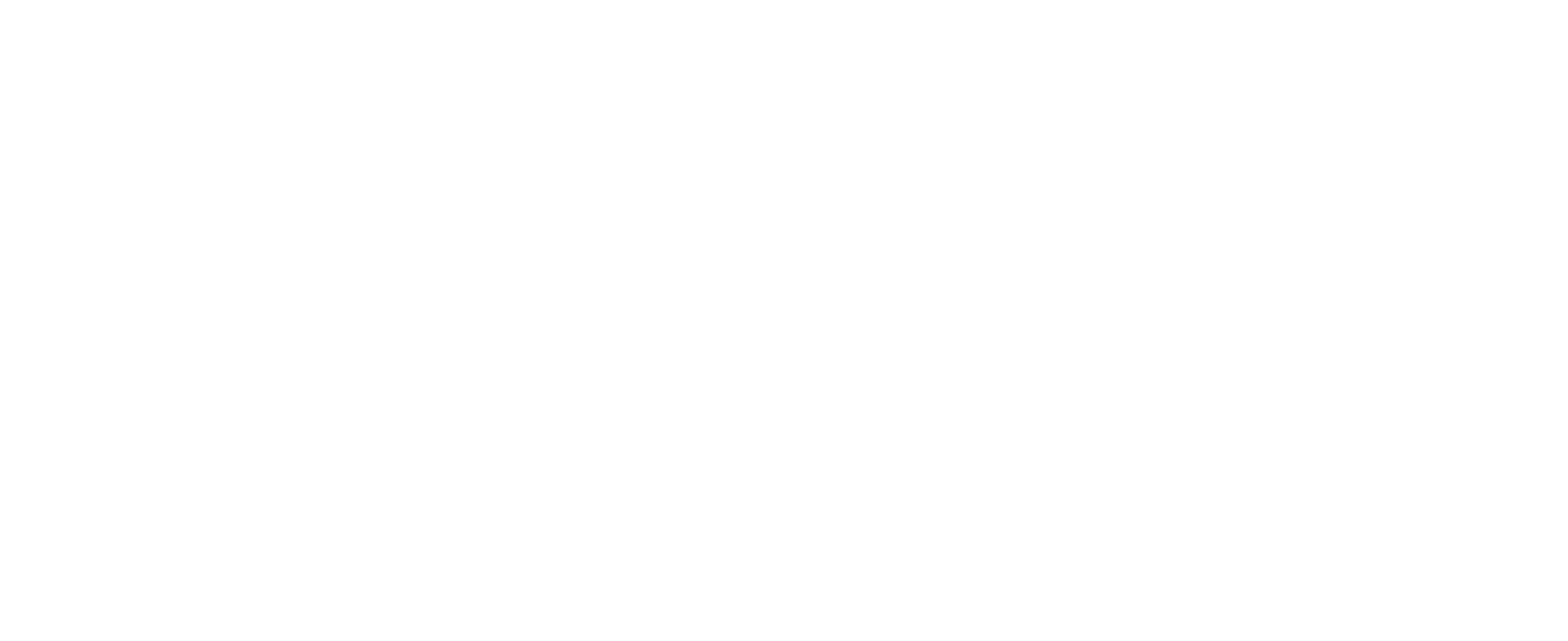 Bas Paardekooper logo